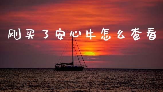 刚买了安心牛怎么查看_https://www.apanben.com_国际期货_第1张
