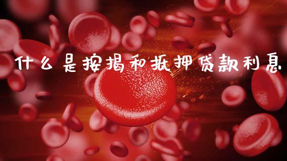 什么是按揭和抵押贷款利息_https://www.apanben.com_国际财经_第1张