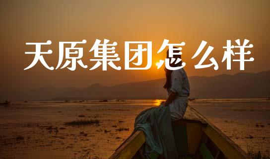 天原集团怎么样_https://www.apanben.com_国际期货_第1张