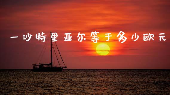 一沙特里亚尔等于多少欧元_https://www.apanben.com_财经资讯_第1张