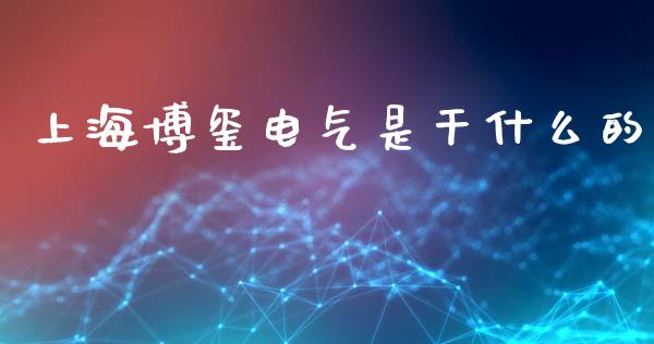 上海博玺电气是干什么的_https://www.apanben.com_国际财经_第1张