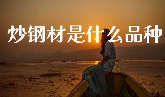 炒钢材是什么品种_https://www.apanben.com_股市分析_第1张