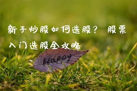 新手炒股如何选股？ 股票入门选股全攻略_https://www.apanben.com_国际期货_第1张