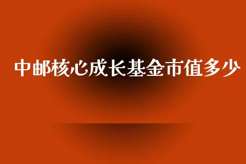 中邮核心成长基金市值多少_https://www.apanben.com_期货学院_第1张