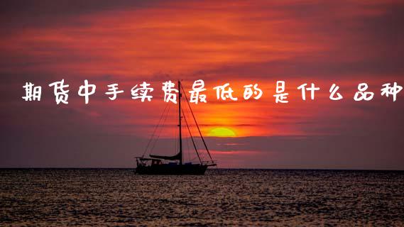 期货中手续费最低的是什么品种_https://www.apanben.com_财经资讯_第1张