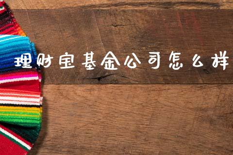 理财宝基金公司怎么样_https://www.apanben.com_财经资讯_第1张