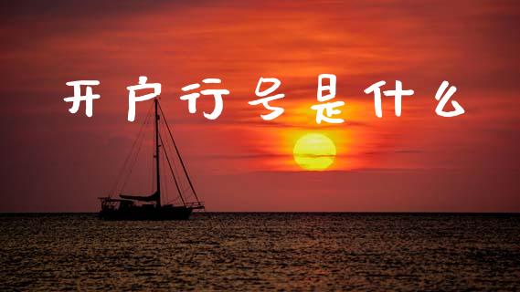 开户行号是什么_https://www.apanben.com_股票怎么玩_第1张