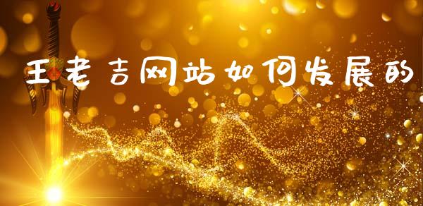 王老吉网站如何发展的_https://www.apanben.com_在线喊单_第1张