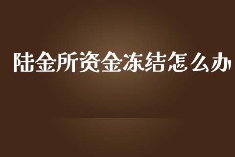 陆金所资金冻结怎么办_https://www.apanben.com_期货学院_第1张