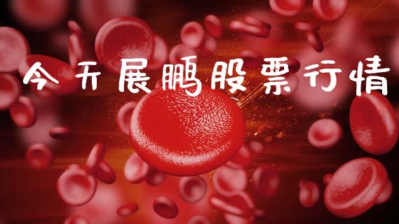 今天展鹏股票行情_https://www.apanben.com_股市指导_第1张