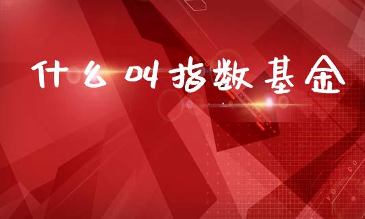 什么叫指数基金_https://www.apanben.com_股票怎么玩_第1张