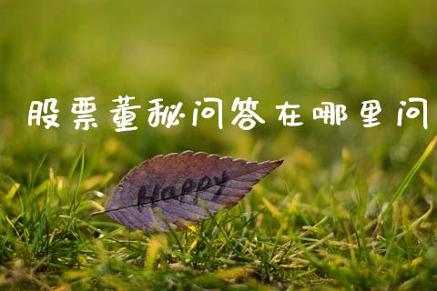 股票董秘问答在哪里问_https://www.apanben.com_国际财经_第1张