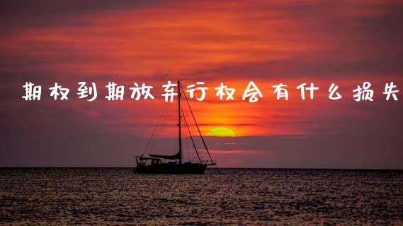 期权到期放弃行权会有什么损失_https://www.apanben.com_国际财经_第1张