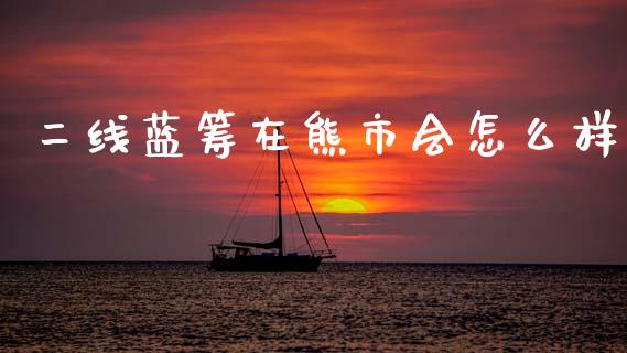 二线蓝筹在熊市会怎么样_https://www.apanben.com_财经资讯_第1张