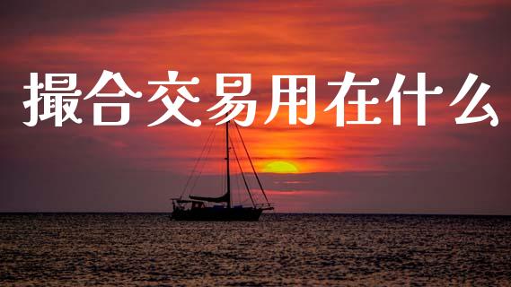 撮合交易用在什么_https://www.apanben.com_股市指导_第1张