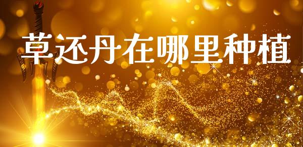 草还丹在哪里种植_https://www.apanben.com_期货学院_第1张