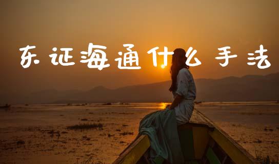 东证海通什么手法_https://www.apanben.com_财经资讯_第1张