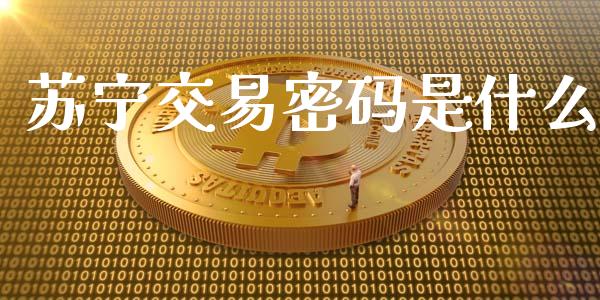 苏宁交易密码是什么_https://www.apanben.com_国际财经_第1张