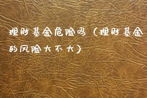 理财基金危险吗（理财基金的风险大不大）_https://www.apanben.com_国际财经_第1张