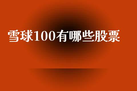雪球100有哪些股票_https://www.apanben.com_股市指导_第1张