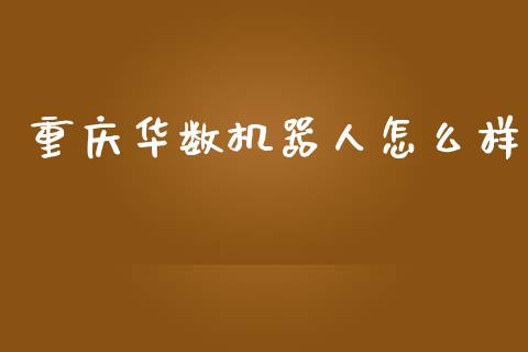 重庆华数机器人怎么样_https://www.apanben.com_国际期货_第1张