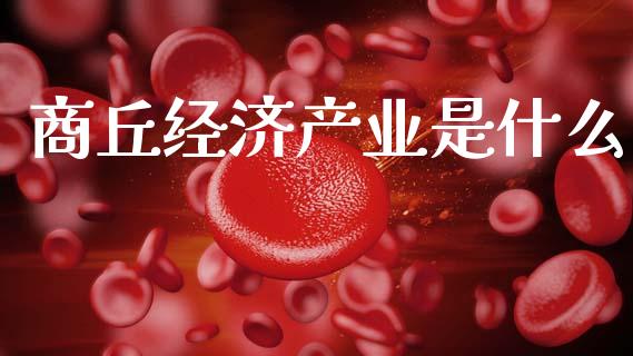 商丘经济产业是什么_https://www.apanben.com_期货学院_第1张