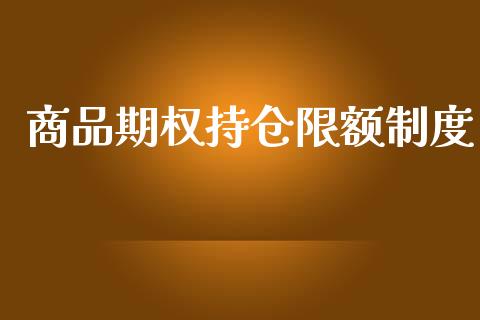 商品期权持仓限额制度_https://www.apanben.com_国际期货_第1张