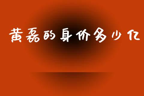 黄磊的身价多少亿_https://www.apanben.com_财经资讯_第1张