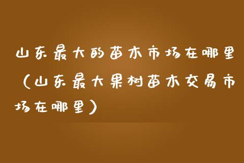 山东最大的苗木市场在哪里（山东最大果树苗木交易市场在哪里）_https://www.apanben.com_国际期货_第1张