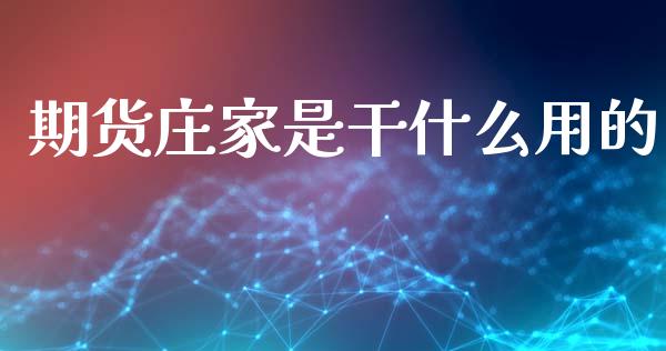期货庄家是干什么用的_https://www.apanben.com_股票怎么玩_第1张