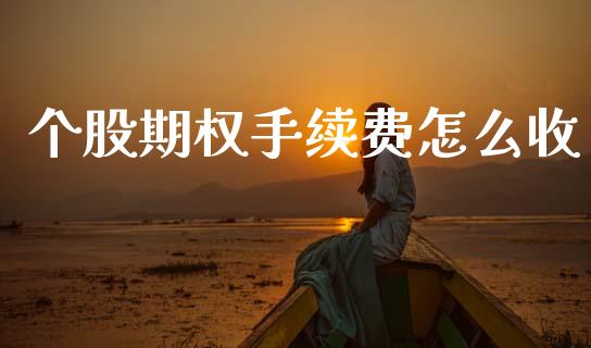 个股期权手续费怎么收_https://www.apanben.com_财经资讯_第1张