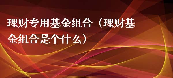 理财专用基金组合（理财基金组合是个什么）_https://www.apanben.com_国际财经_第1张