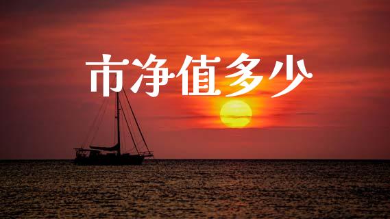 市净值多少_https://www.apanben.com_财经资讯_第1张