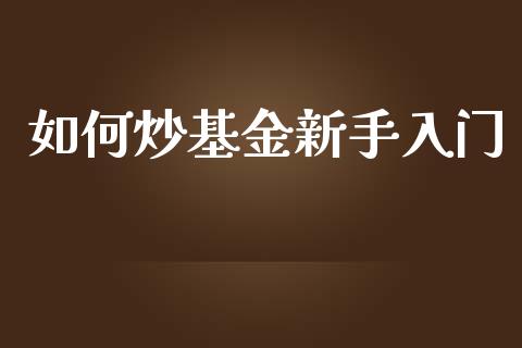 如何炒基金新手入门_https://www.apanben.com_股票怎么玩_第1张