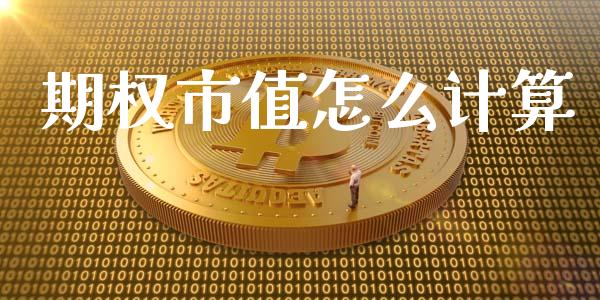 期权市值怎么计算_https://www.apanben.com_股市分析_第1张