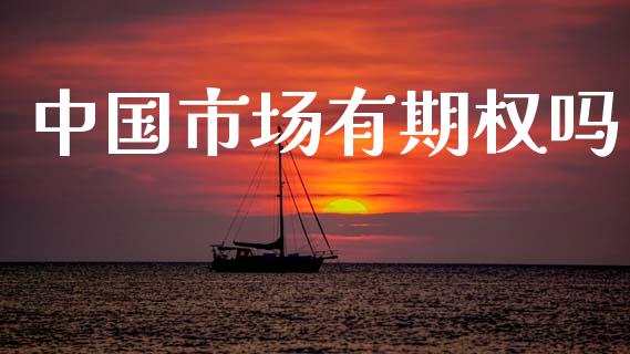 中国市场有期权吗_https://www.apanben.com_国际财经_第1张