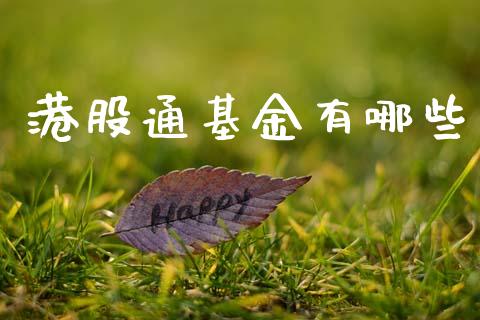 港股通基金有哪些_https://www.apanben.com_国际期货_第1张