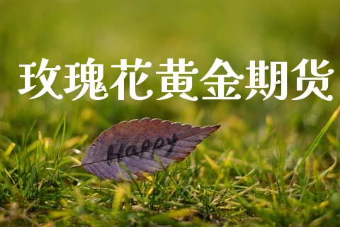 玫瑰花黄金期货_https://www.apanben.com_期货学院_第1张