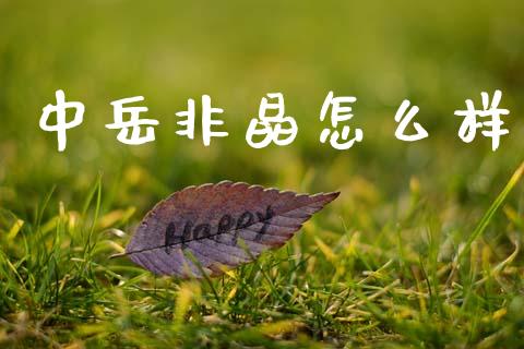 中岳非晶怎么样_https://www.apanben.com_国际财经_第1张