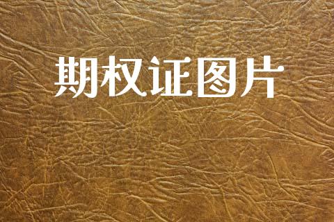 期权证图片_https://www.apanben.com_股票怎么玩_第1张