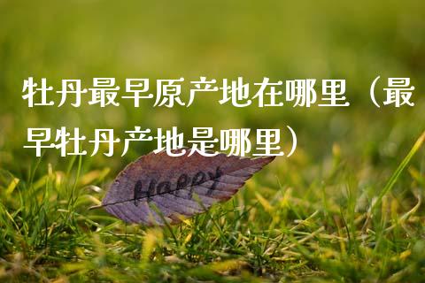牡丹最早原产地在哪里（最早牡丹产地是哪里）_https://www.apanben.com_期货学院_第1张