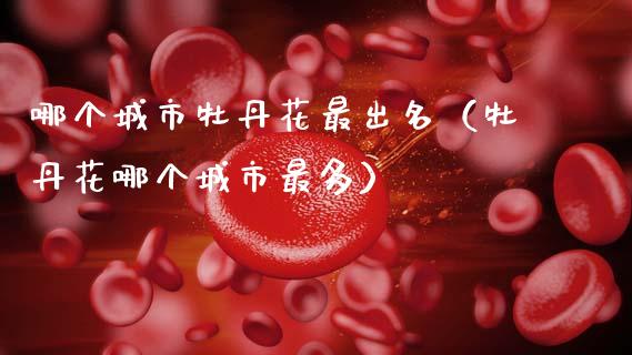 哪个城市牡丹花最出名（牡丹花哪个城市最多）_https://www.apanben.com_国际期货_第1张
