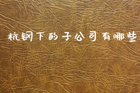 杭钢下的子公司有哪些_https://www.apanben.com_期货学院_第1张