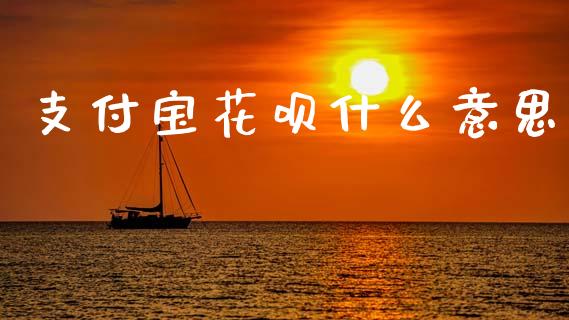 支付宝花呗什么意思_https://www.apanben.com_财经资讯_第1张