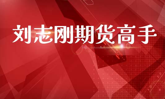 刘志刚期货高手_https://www.apanben.com_股票怎么玩_第1张