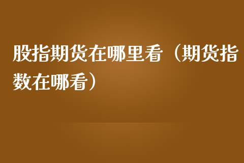 股指期货在哪里看（期货指数在哪看）_https://www.apanben.com_国际期货_第1张