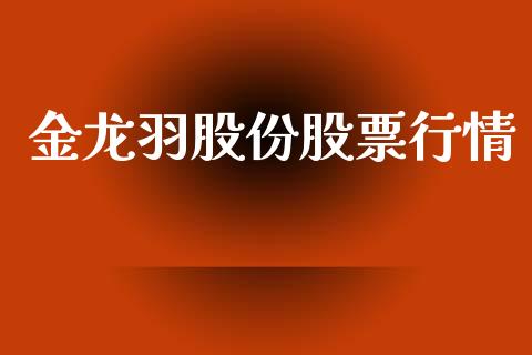 金龙羽股份股票行情_https://www.apanben.com_股市分析_第1张
