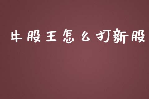 牛股王怎么打新股_https://www.apanben.com_国际财经_第1张
