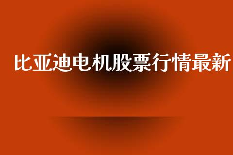 比亚迪电机股票行情最新_https://www.apanben.com_股市分析_第1张