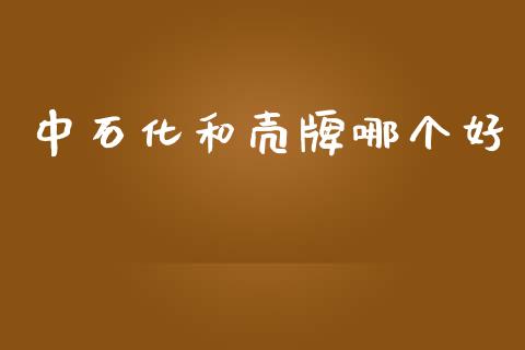 中石化和壳牌哪个好_https://www.apanben.com_股票怎么玩_第1张